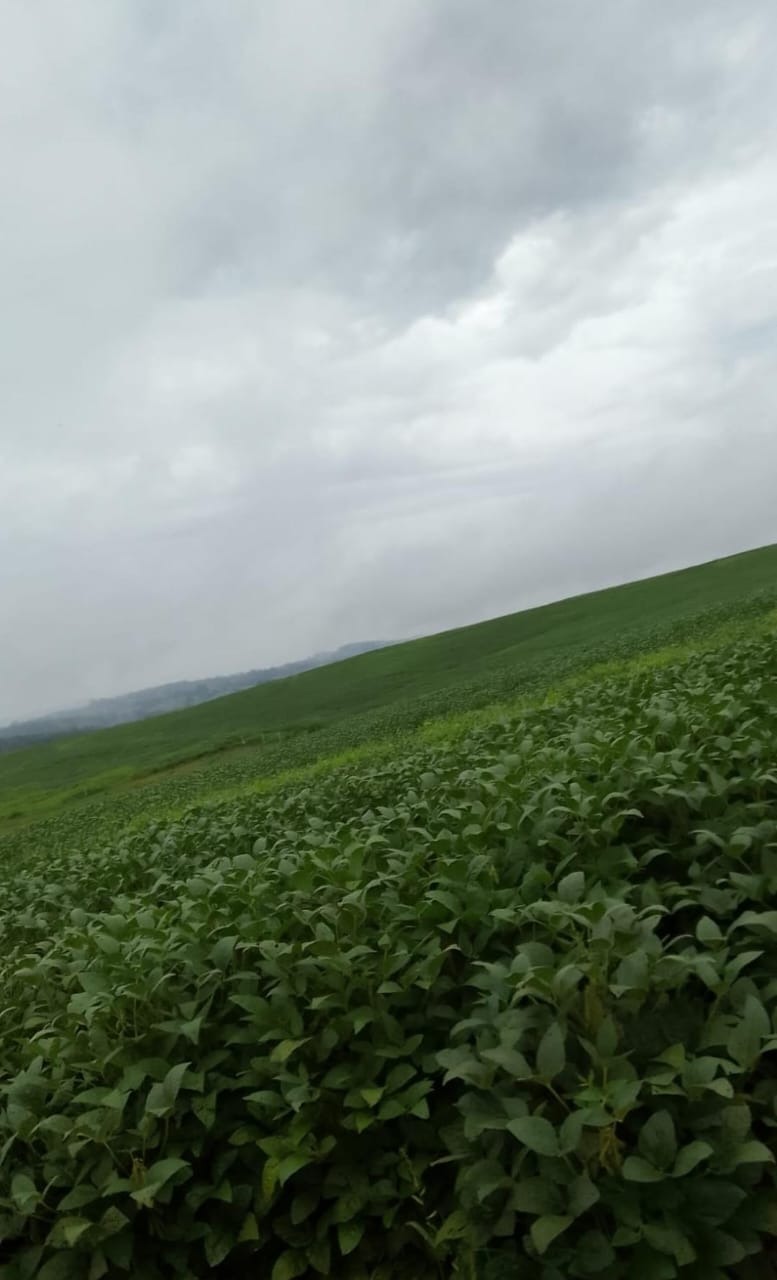 Fazenda, 47 m² - Foto 2