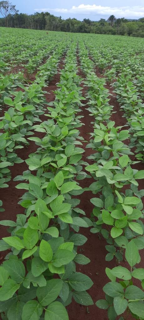 Fazenda, 108 m² - Foto 2