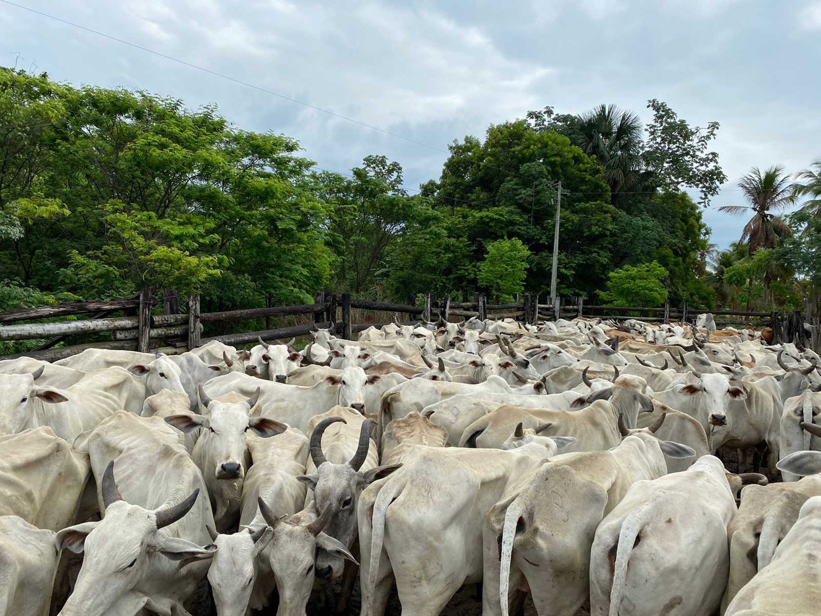 Fazenda, 216 m² - Foto 1