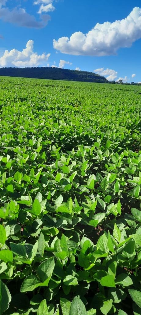 Fazenda, 108 m² - Foto 3