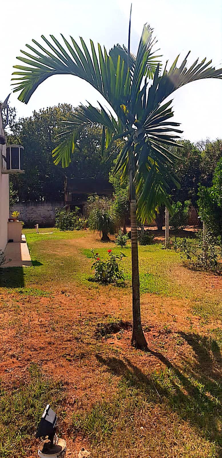 Chácara, 6 quartos, 2524 m² - Foto 21