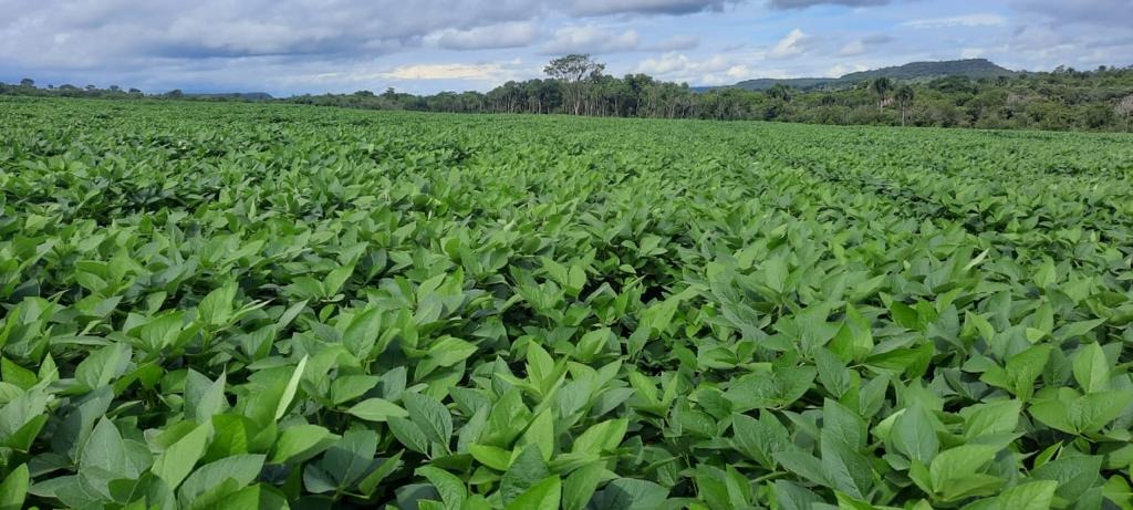 Fazenda, 108 m² - Foto 5