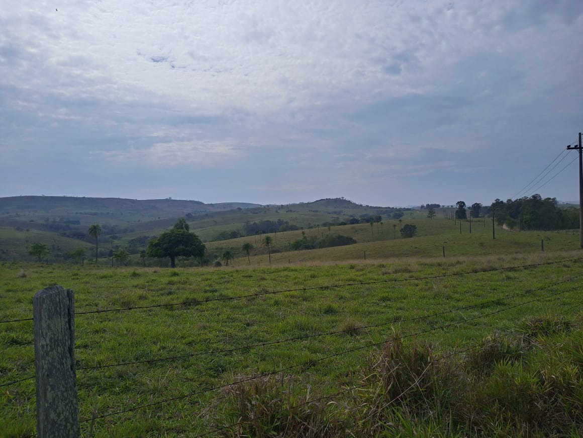 Fazenda, 198 m² - Foto 2