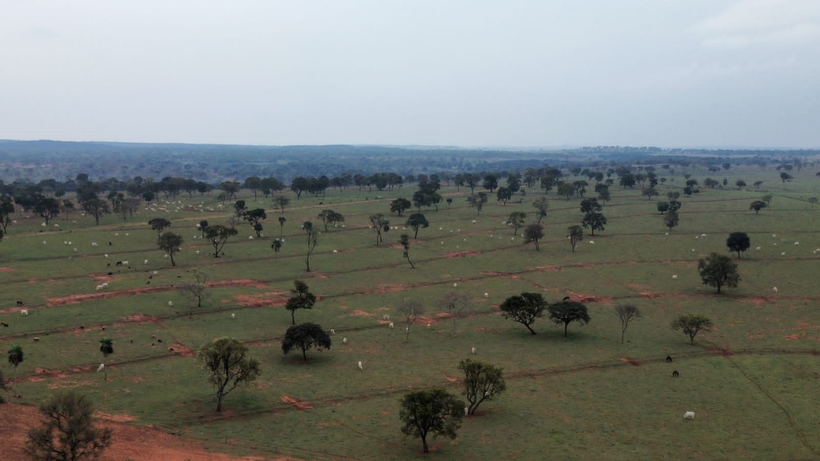 Fazenda, 359 m² - Foto 1