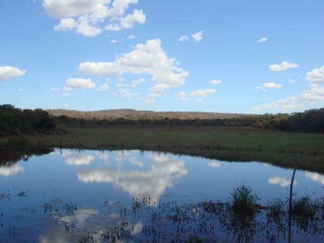 Fazenda, 6983 m² - Foto 3