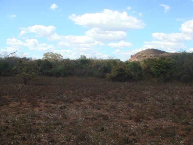Fazenda, 6983 m² - Foto 1
