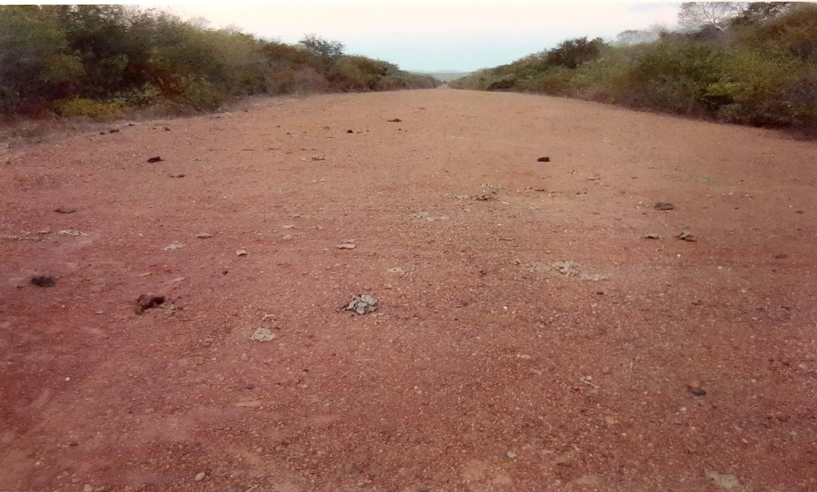 Fazenda, 6983 m² - Foto 4