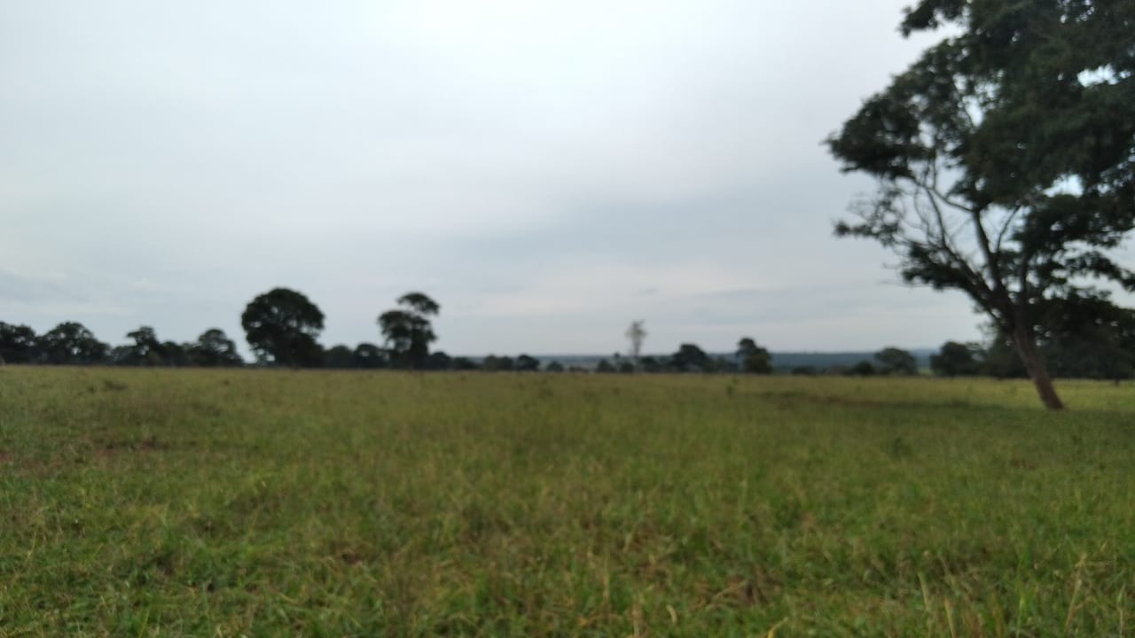 Fazenda, 134 m² - Foto 1