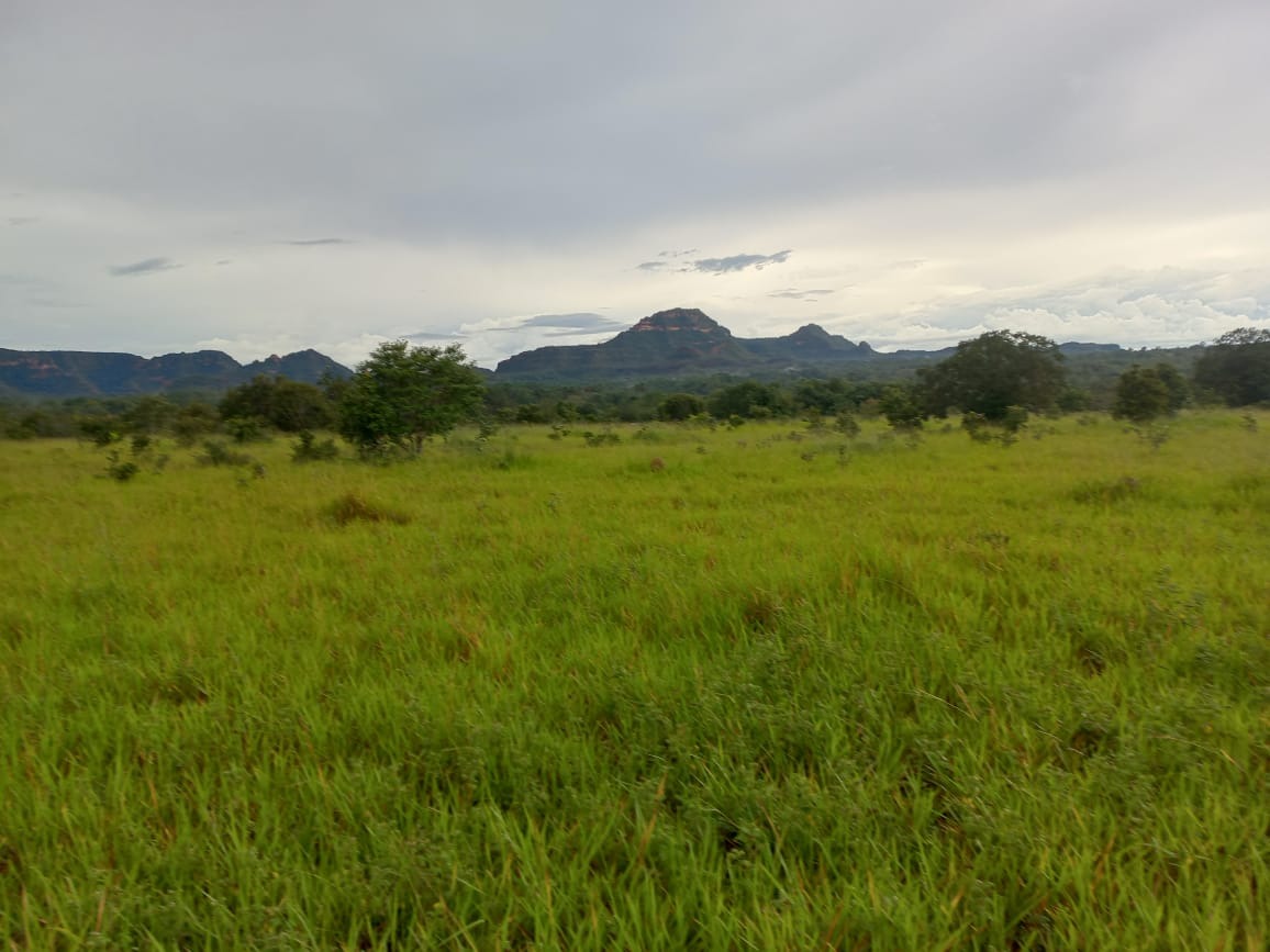 Fazenda, 1281 m² - Foto 1