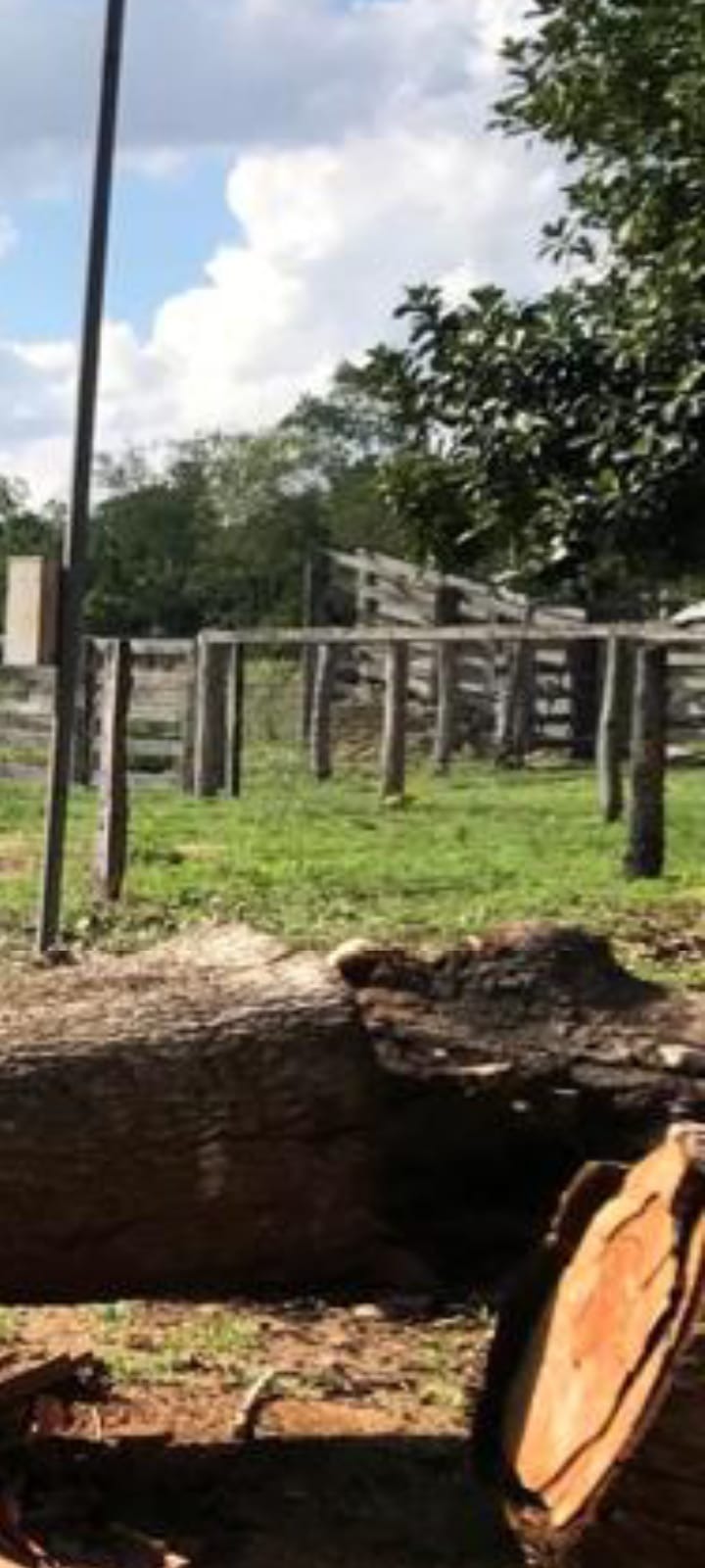 Fazenda, 50 m² - Foto 3