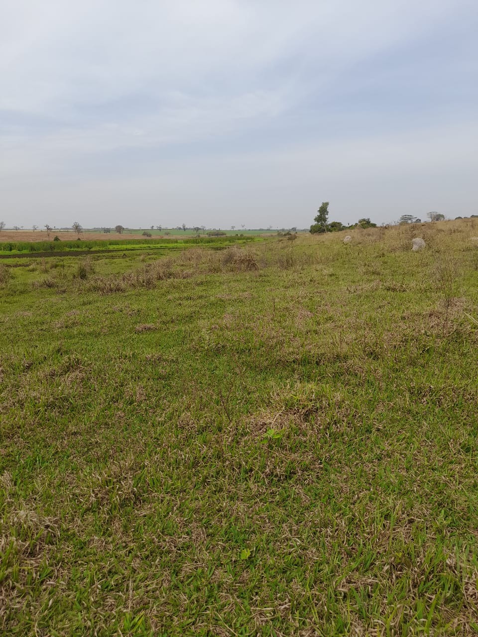 Fazenda, 102 m² - Foto 4