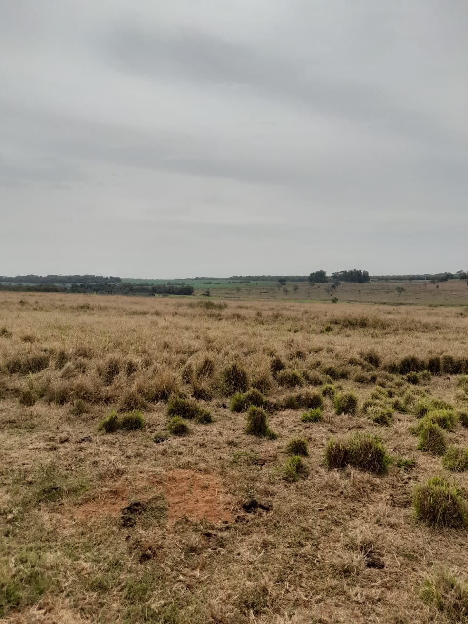 Fazenda, 102 m² - Foto 2