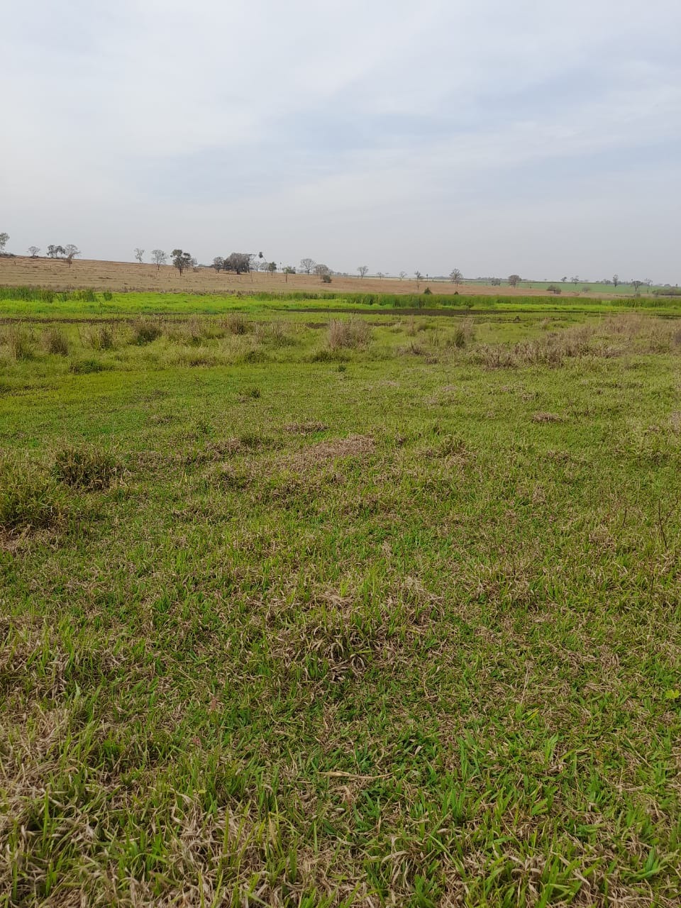 Fazenda, 102 m² - Foto 5