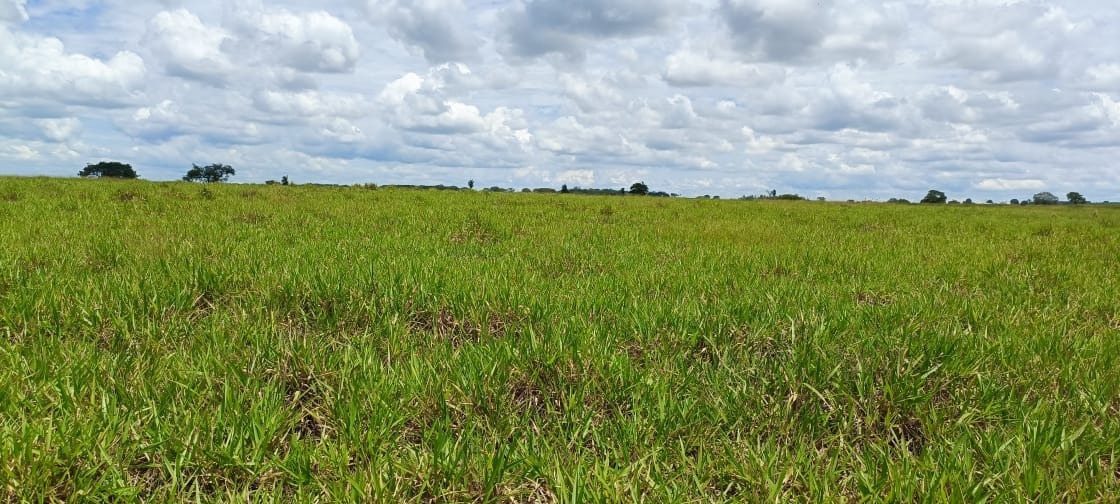 Fazenda, 77 m² - Foto 2