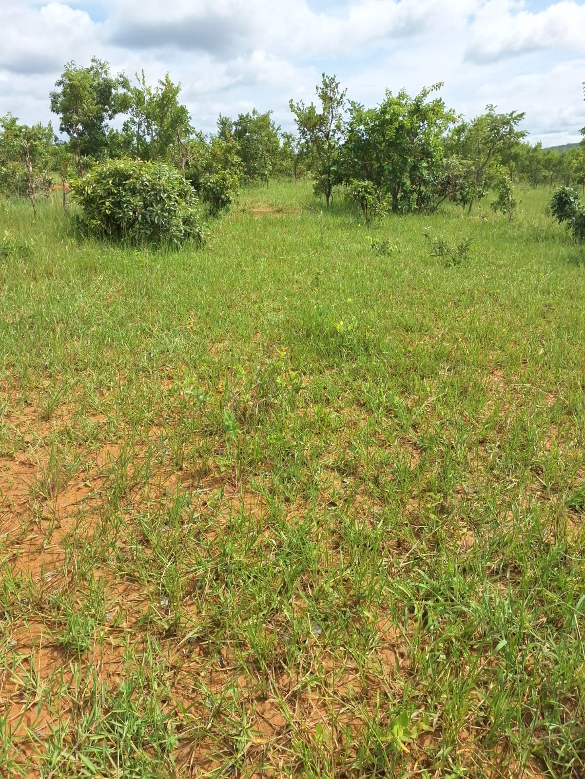 Fazenda, 392 m² - Foto 1