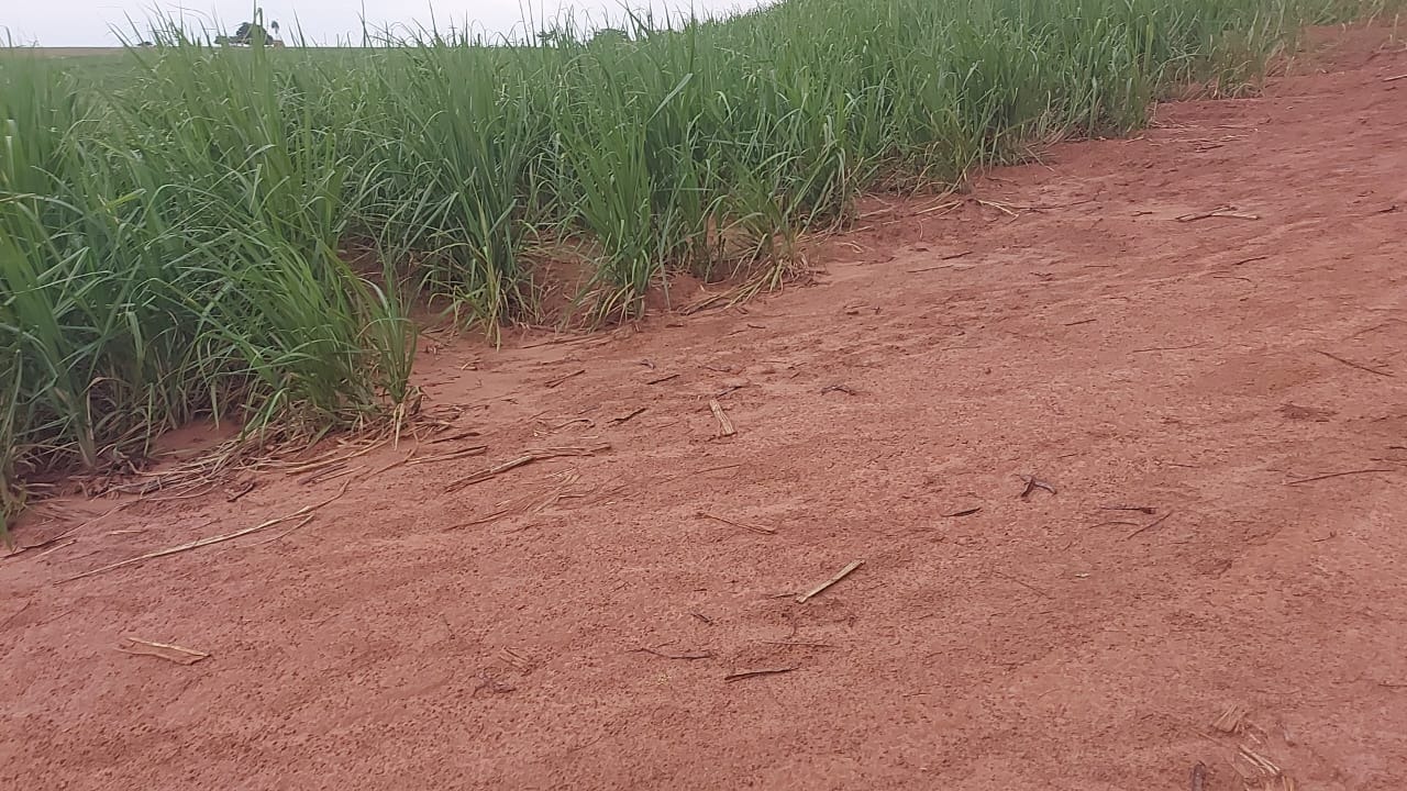 Sítio, 26 m² - Foto 1