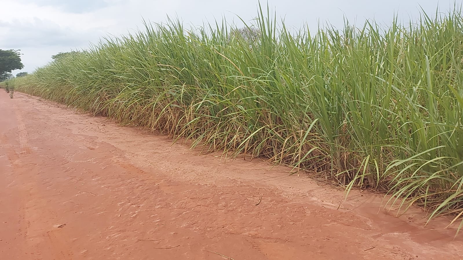 Sítio, 26 m² - Foto 2