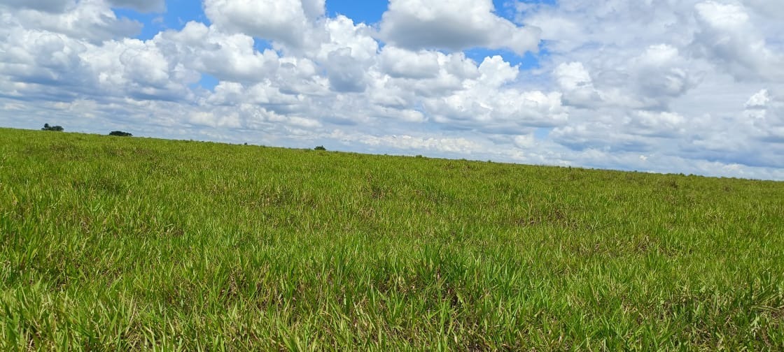 Fazenda, 77 m² - Foto 1