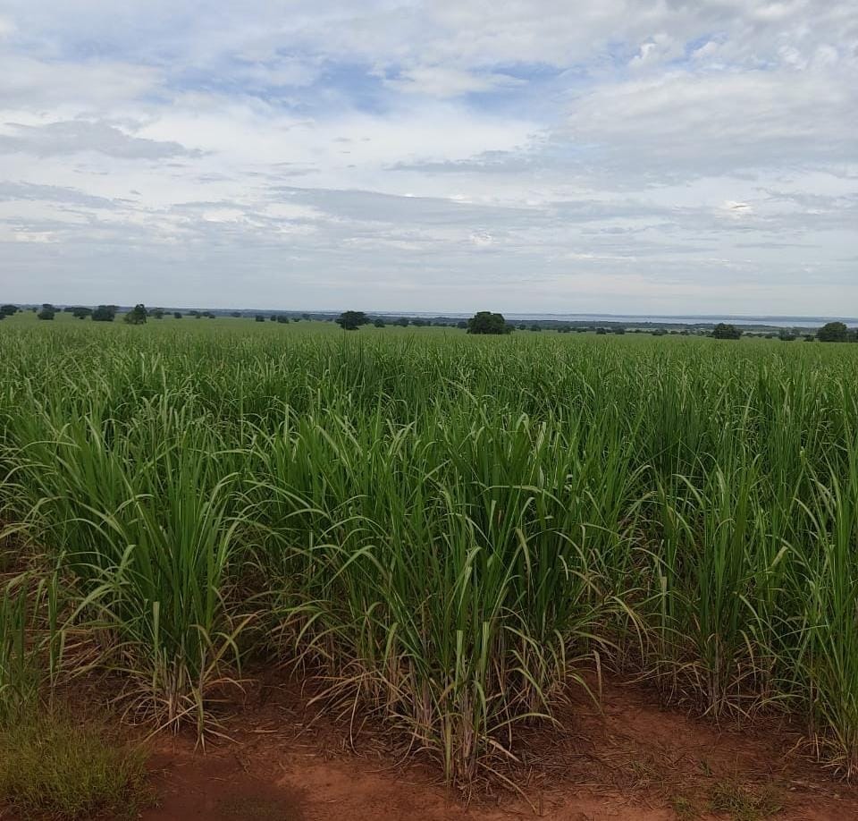 Fazenda, 125 m² - Foto 1