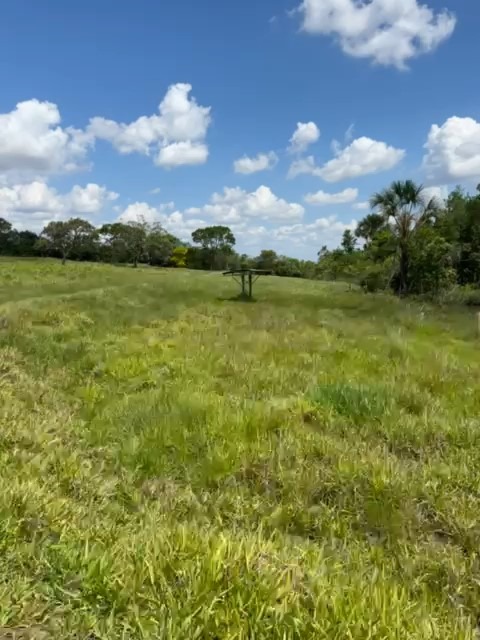 Sítio, 25 m² - Foto 4