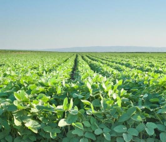 Fazenda, 814 m² - Foto 1