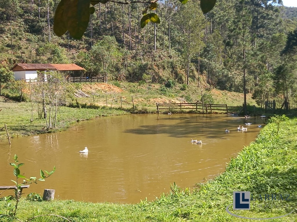 Sítio, 8 quartos, 13 m² - Foto 6