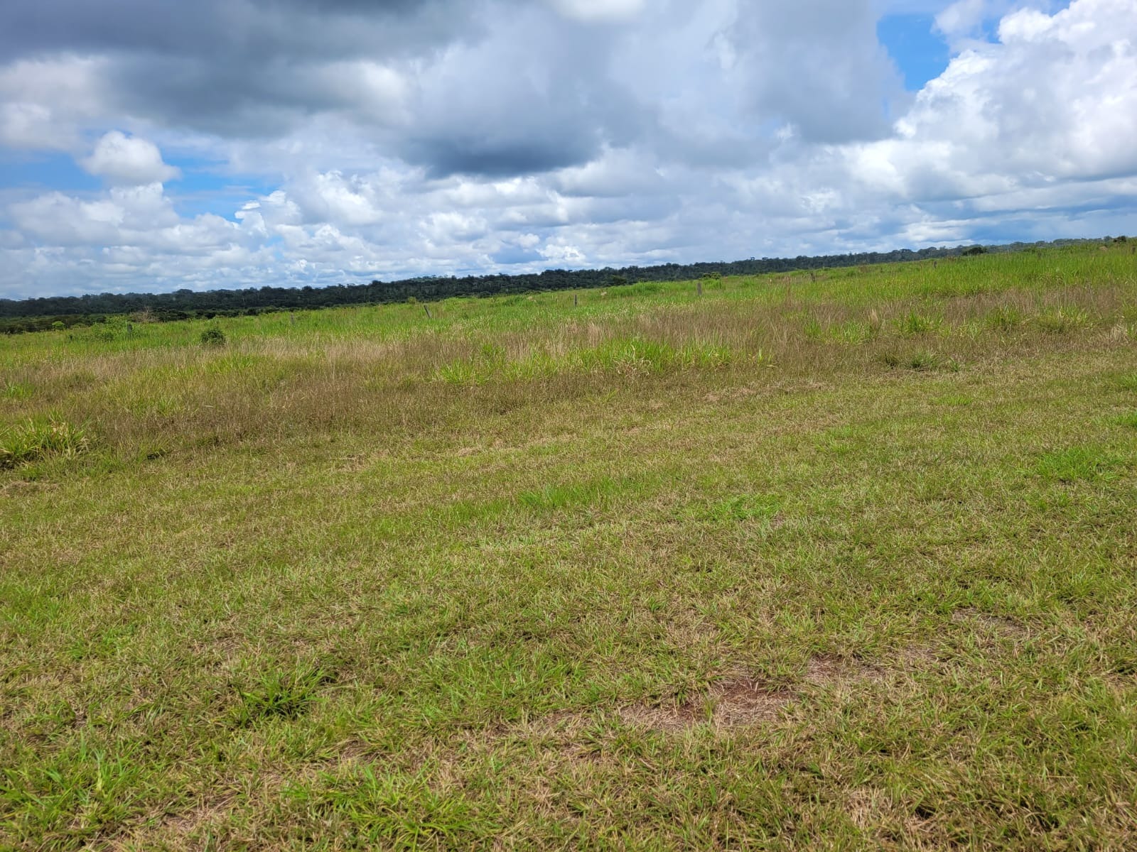 Fazenda, 1 hectares - Foto 1