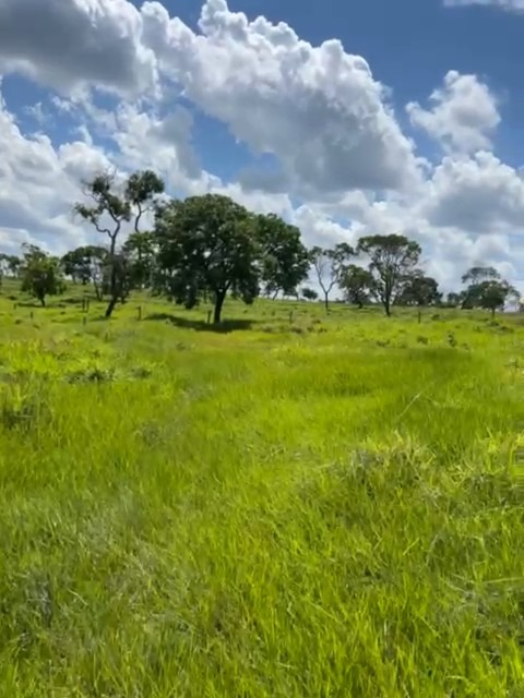 Sítio, 25 m² - Foto 1