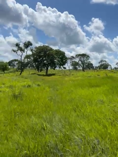 Sítio, 25 m² - Foto 3