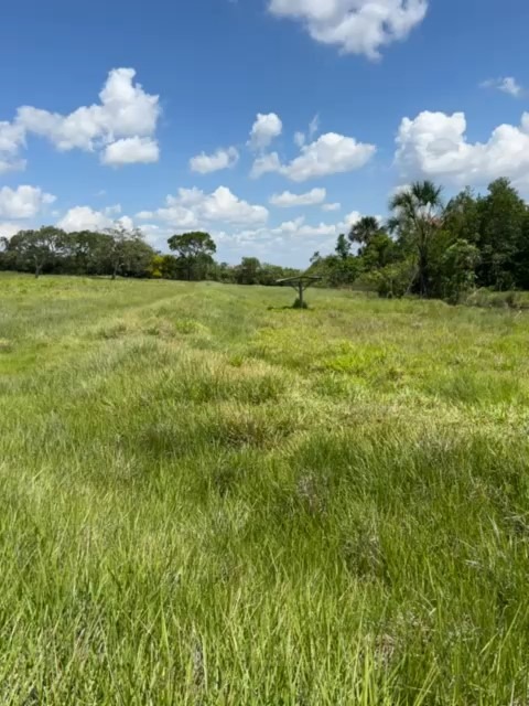 Sítio, 25 m² - Foto 2