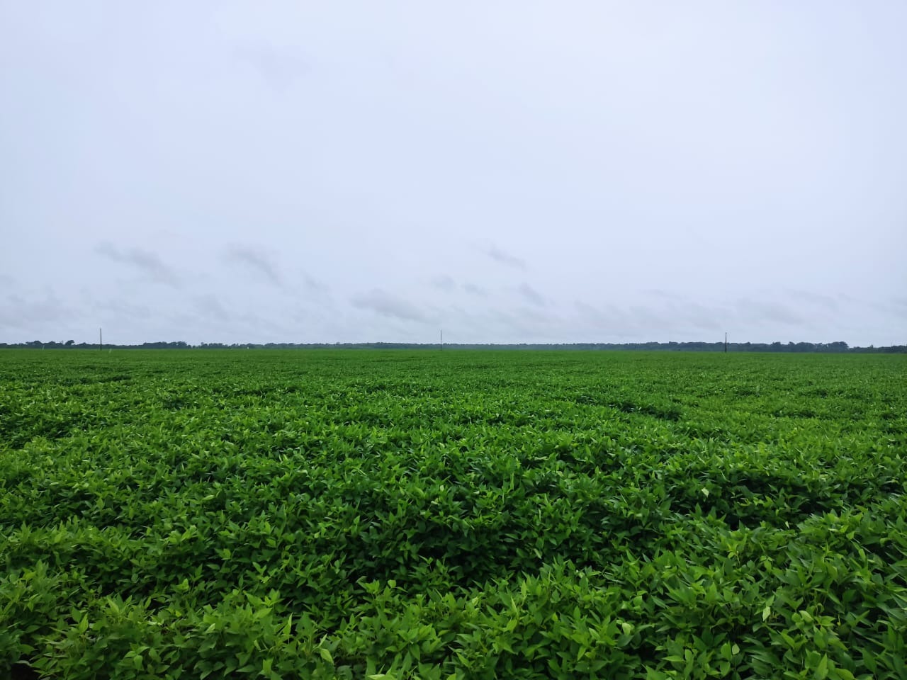 Fazenda, 409 m² - Foto 1