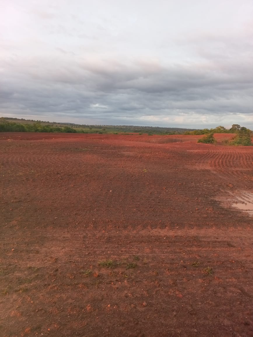 Fazenda, 409 m² - Foto 2