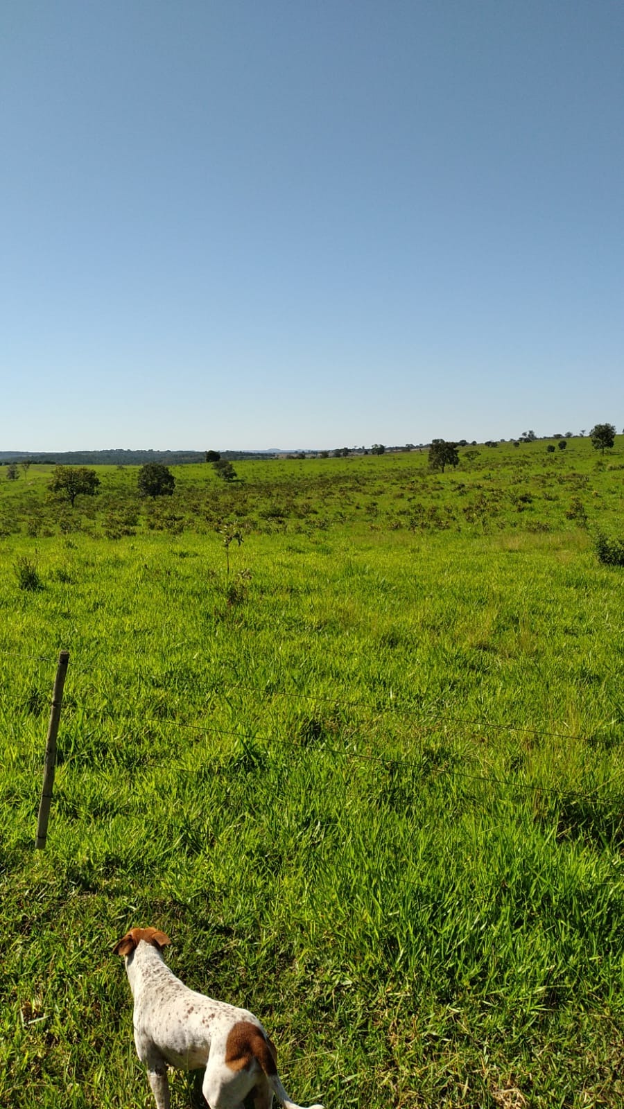 Fazenda, 388 m² - Foto 1