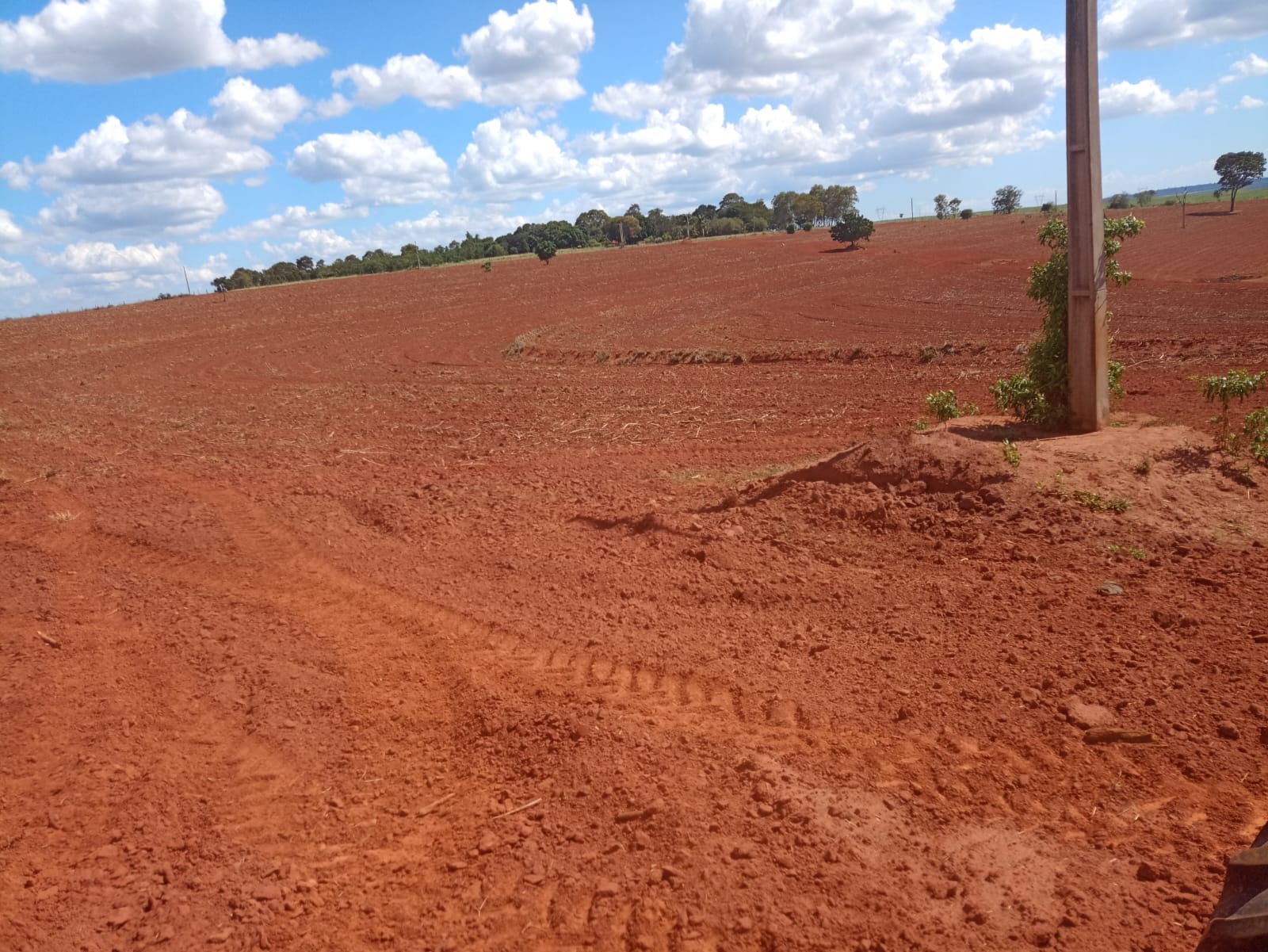 Fazenda, 126 m² - Foto 4