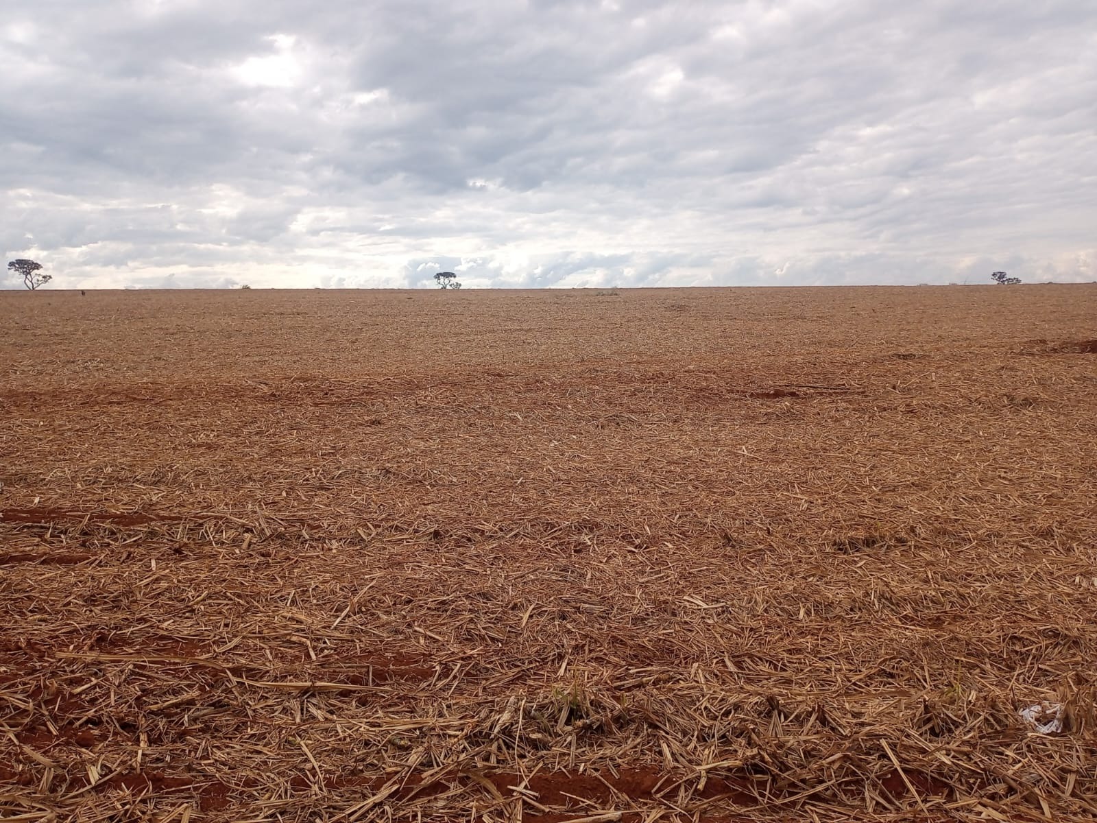 Sítio, 18 m² - Foto 2