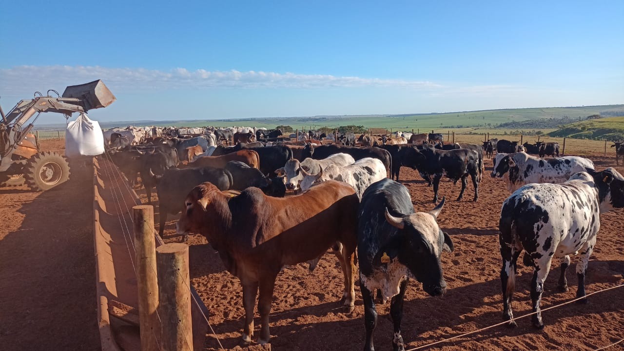 Fazenda, 126 m² - Foto 5