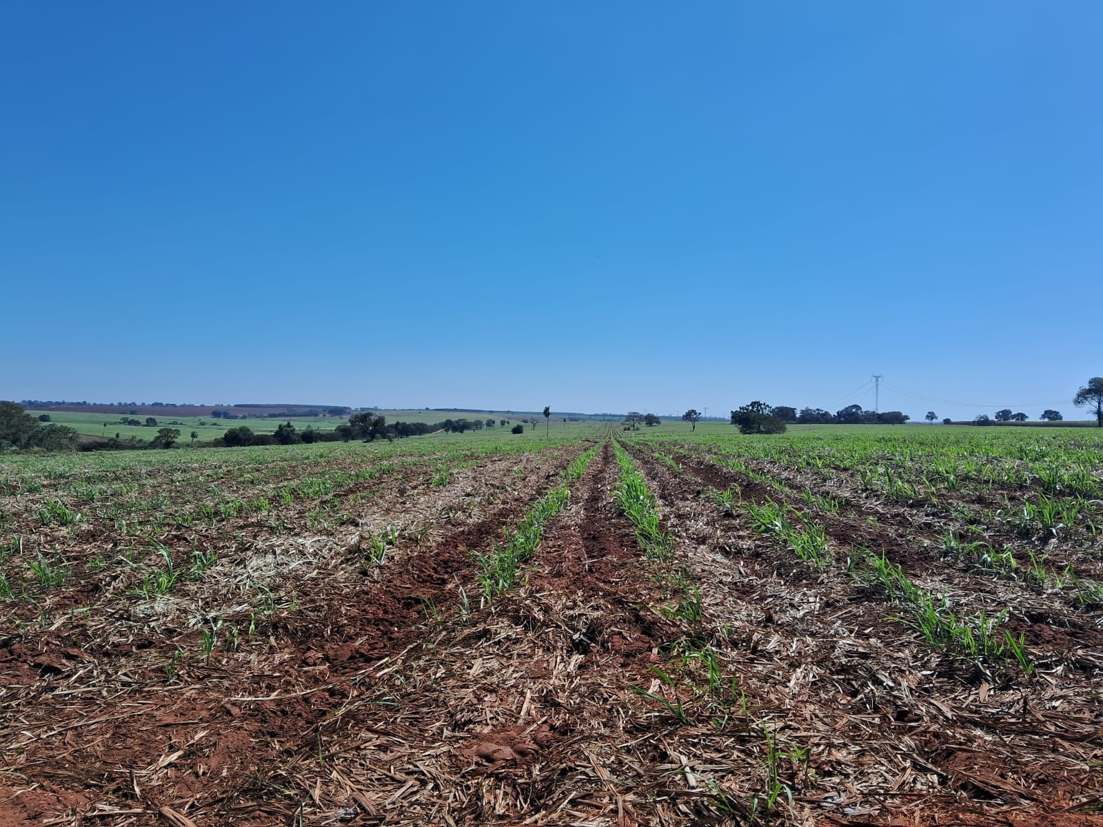 Fazenda, 51 m² - Foto 2