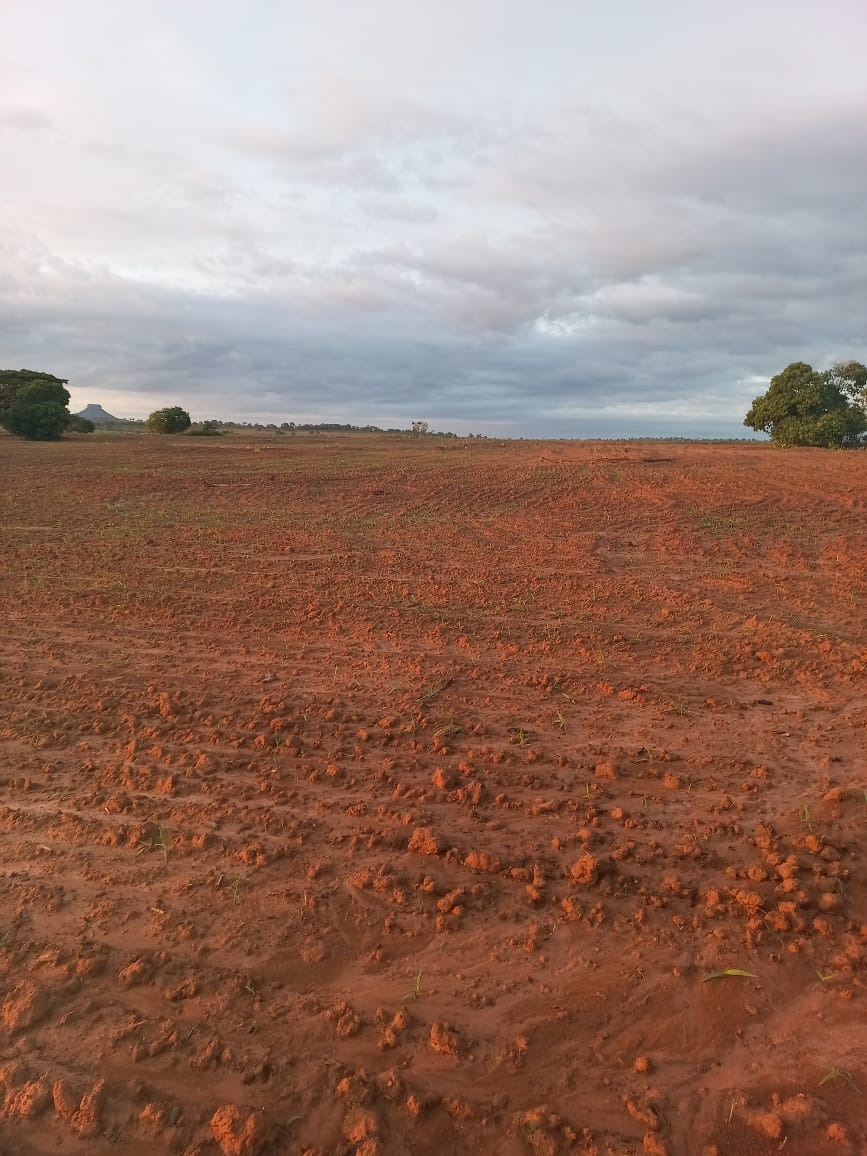 Fazenda, 409 m² - Foto 1