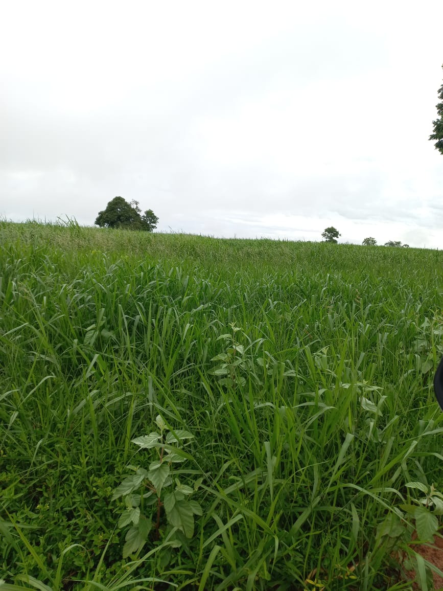 Fazenda, 409 m² - Foto 19