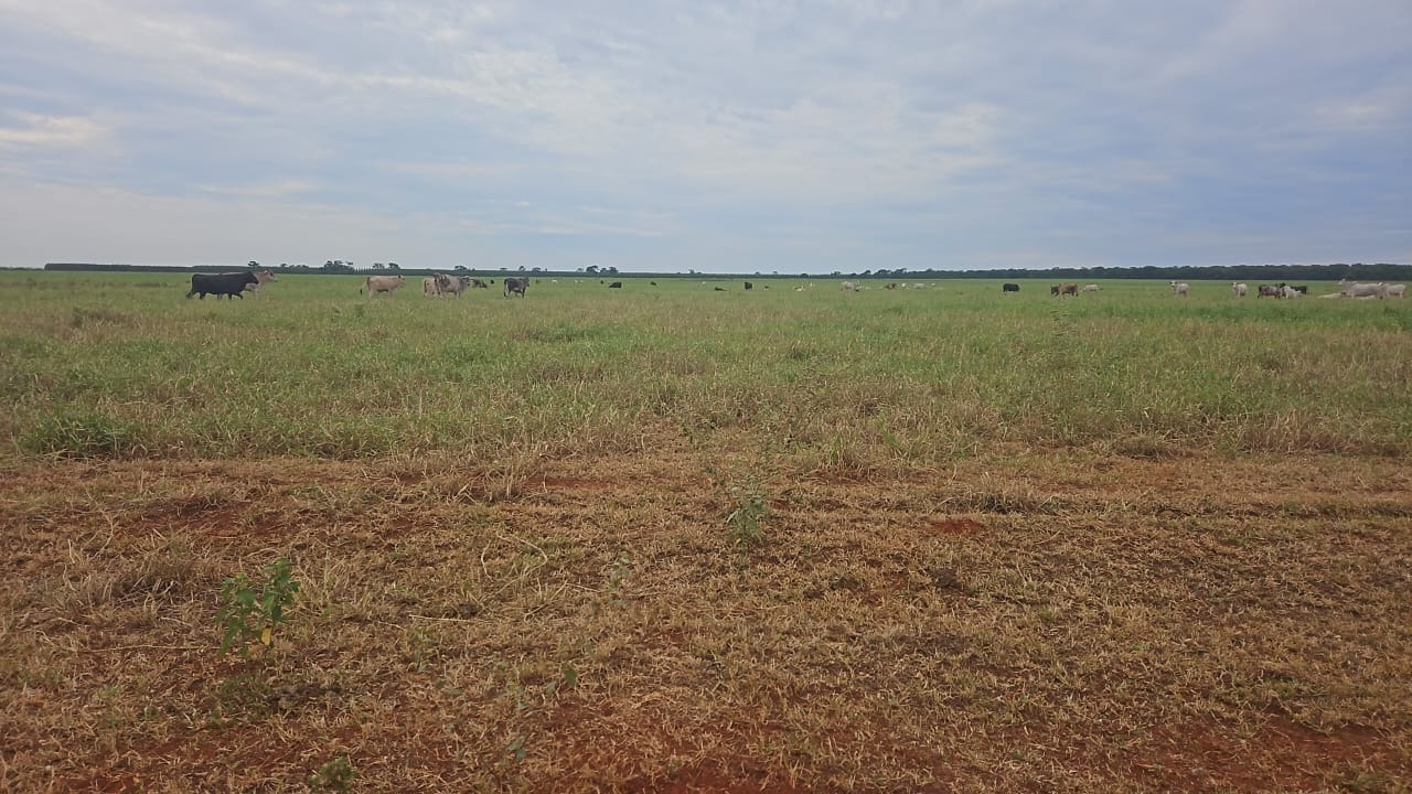 Fazenda, 245 m² - Foto 1