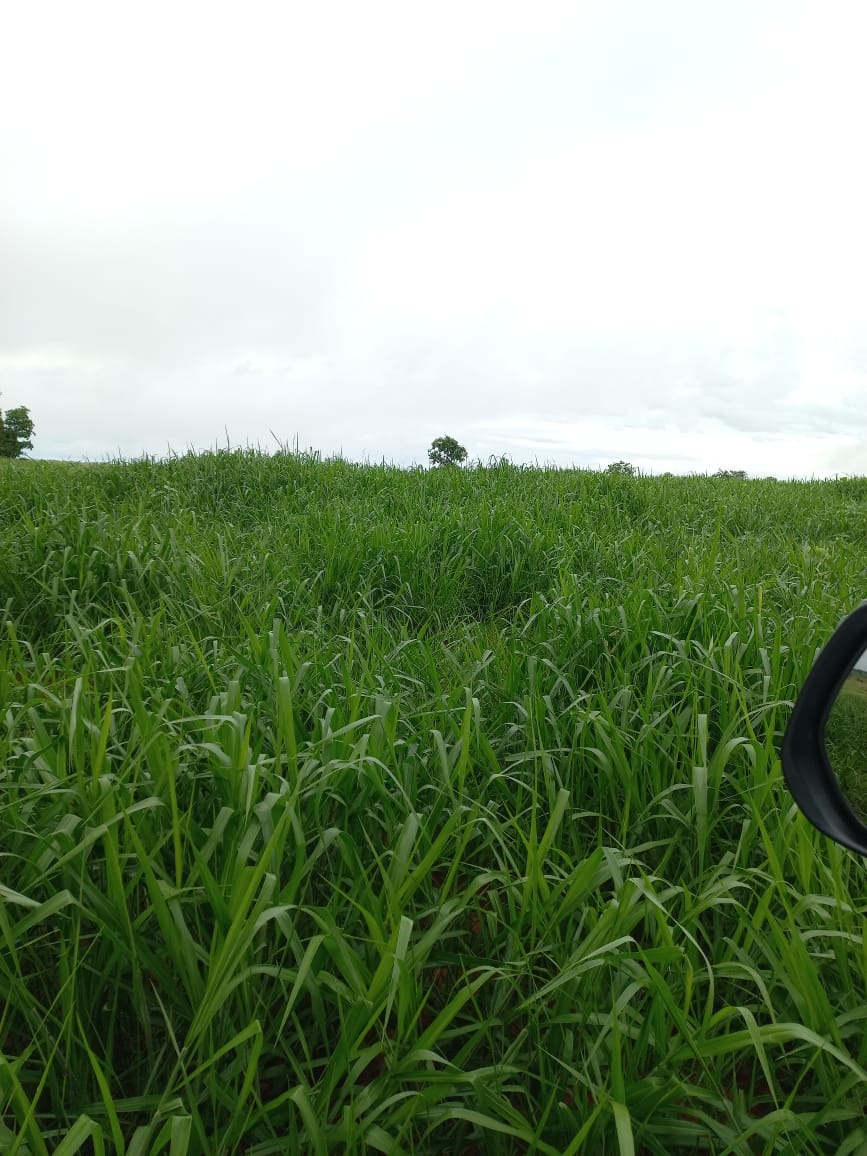 Fazenda, 409 m² - Foto 22