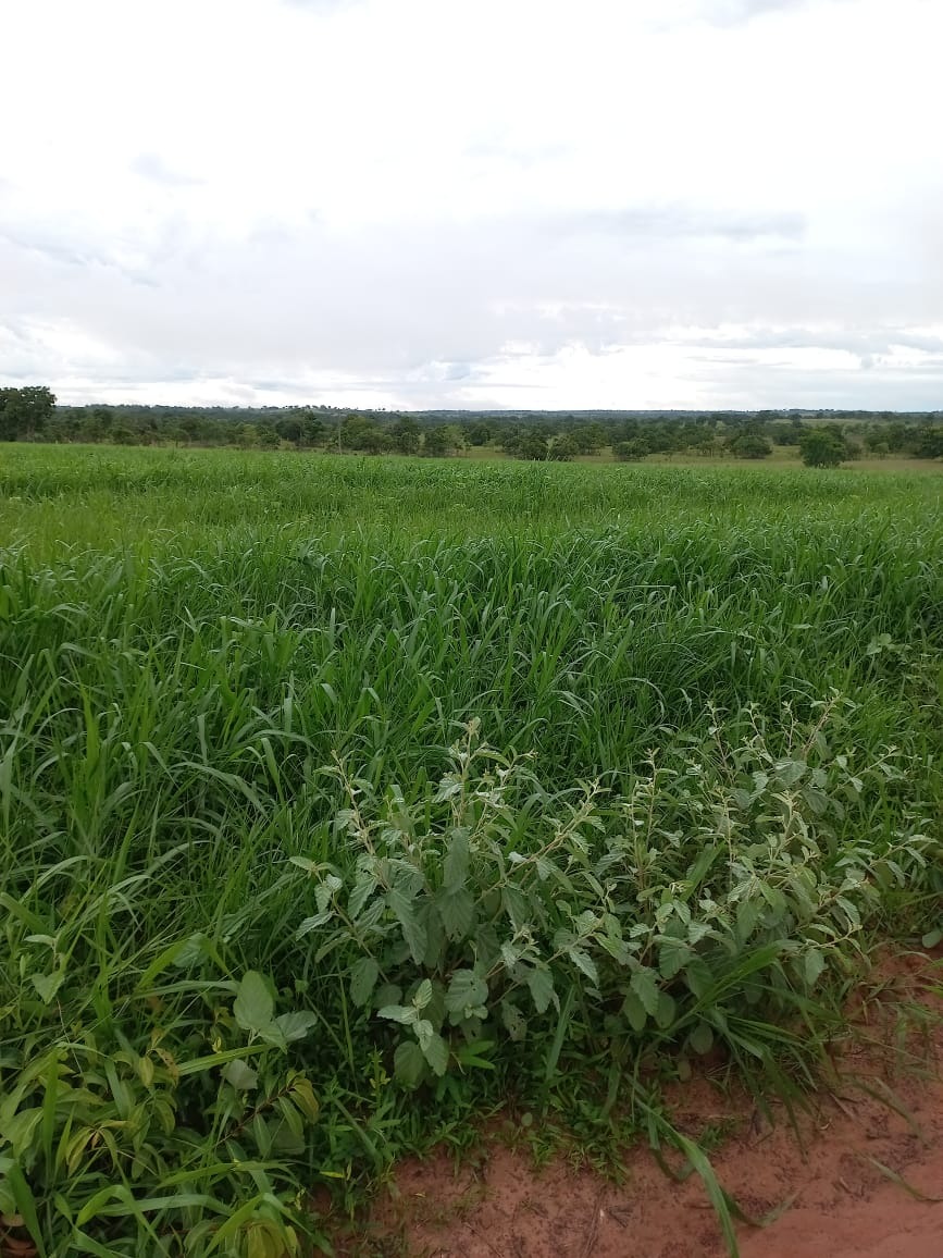 Fazenda, 409 m² - Foto 13