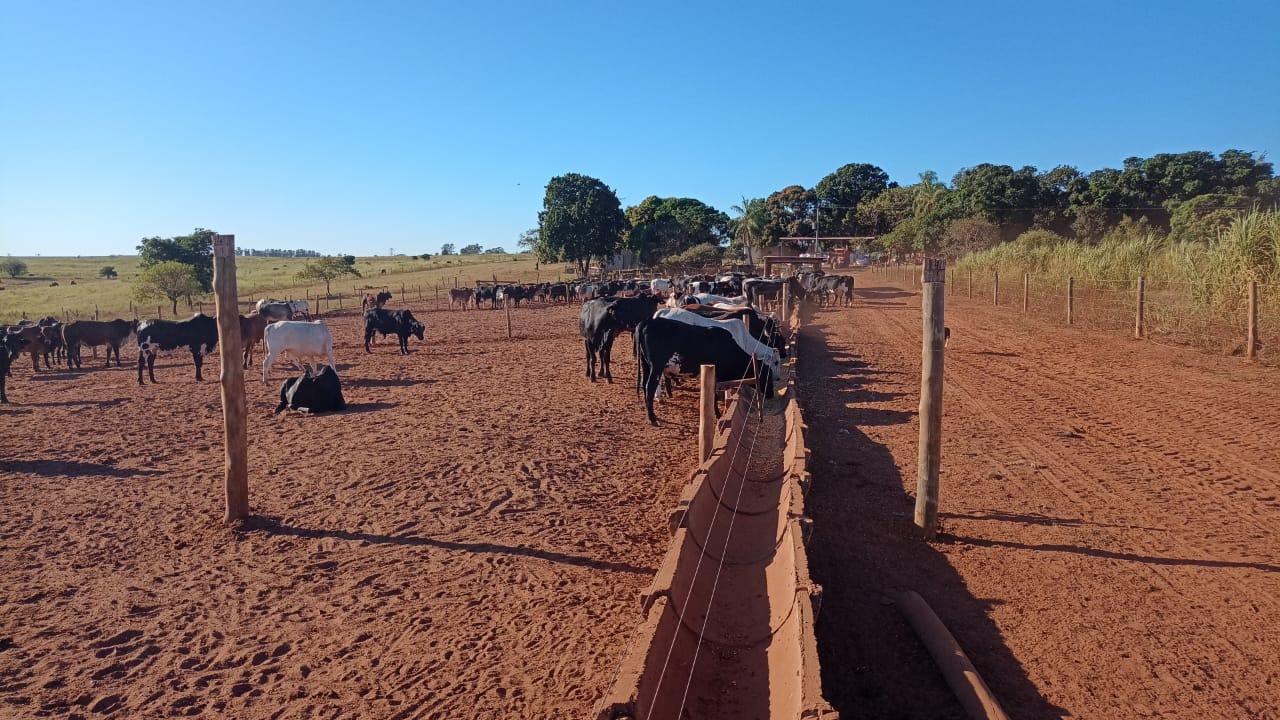 Fazenda, 126 m² - Foto 3