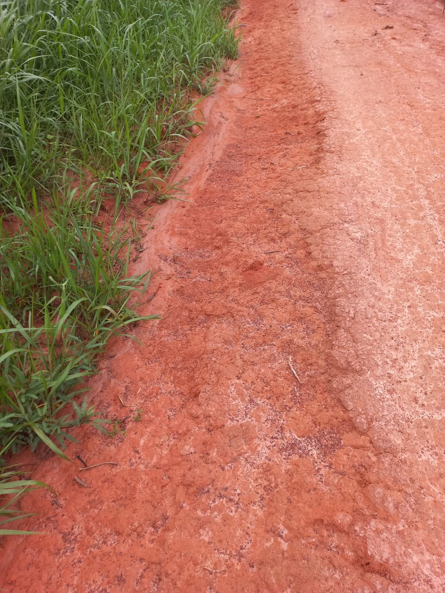 Fazenda, 409 m² - Foto 16