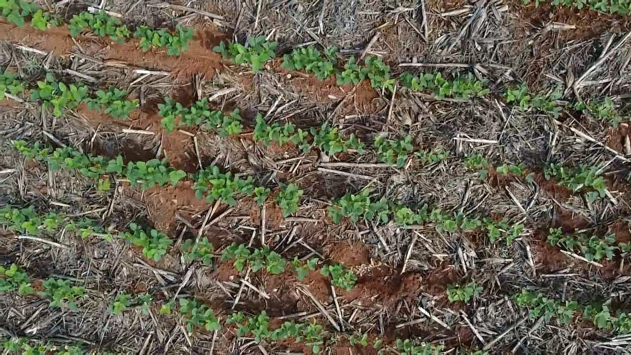 Fazenda, 293 m² - Foto 1