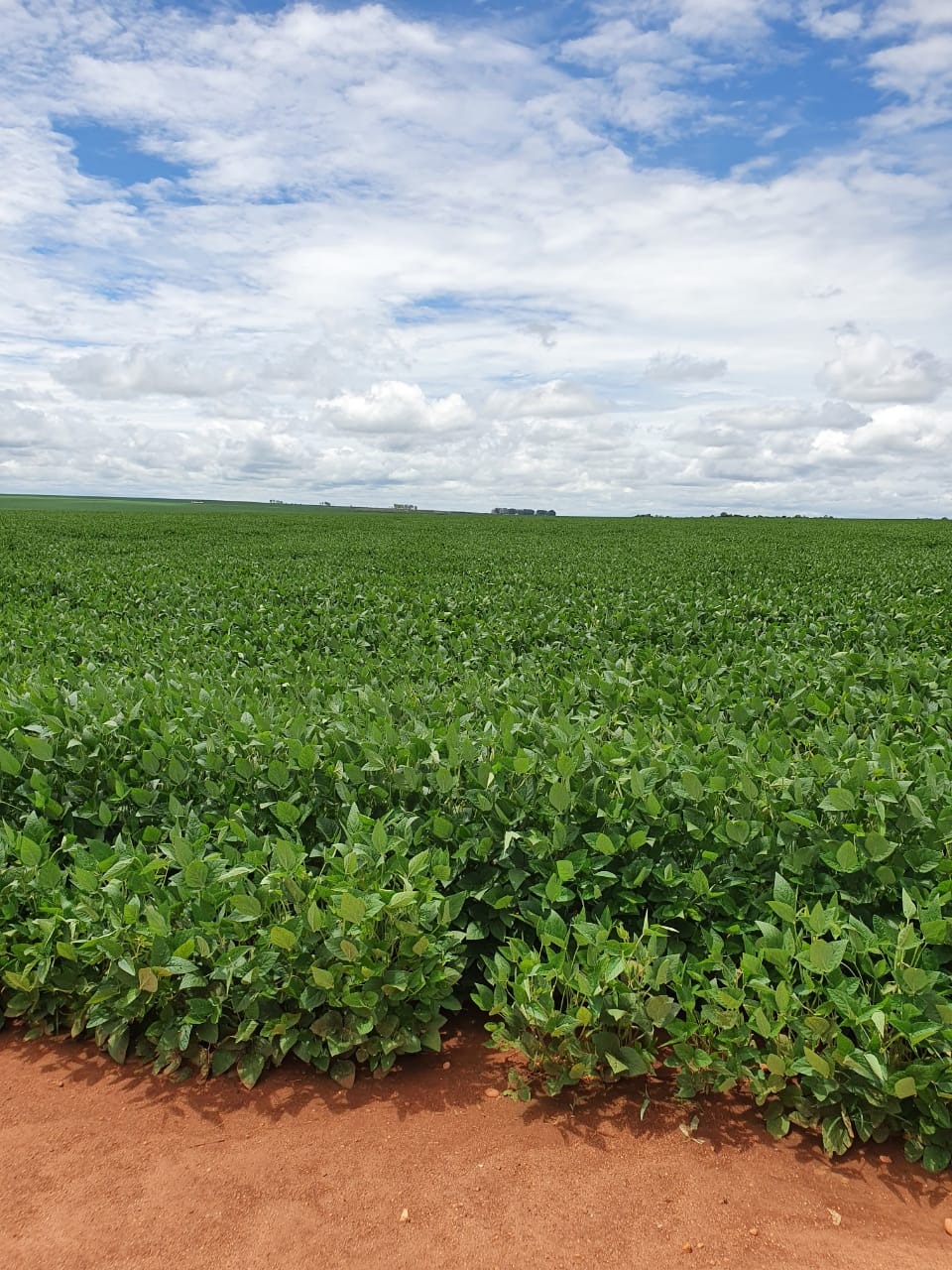 Fazenda, 1320 m² - Foto 1