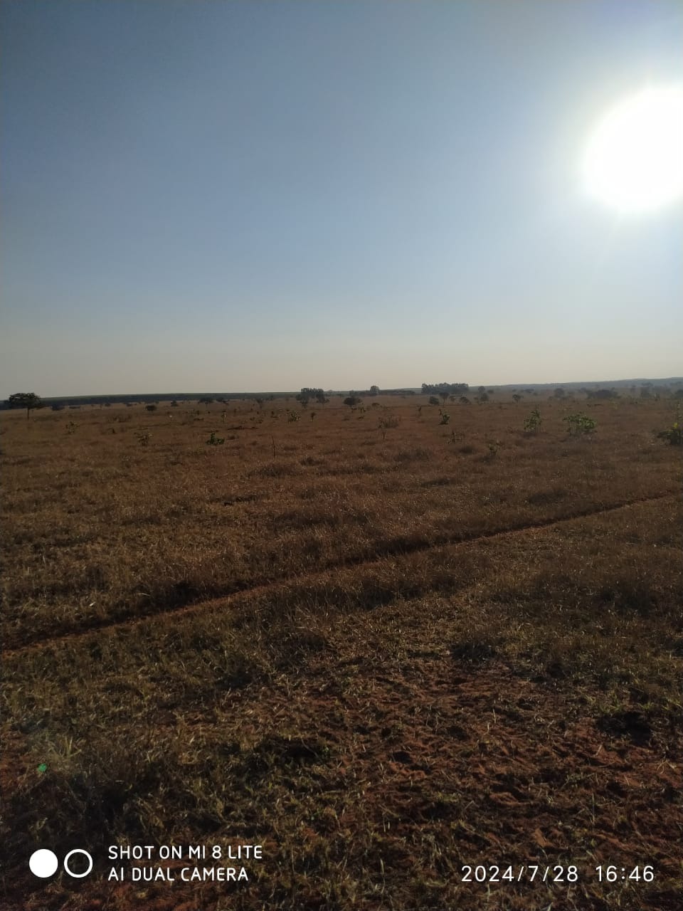 Fazenda, 535 m² - Foto 2