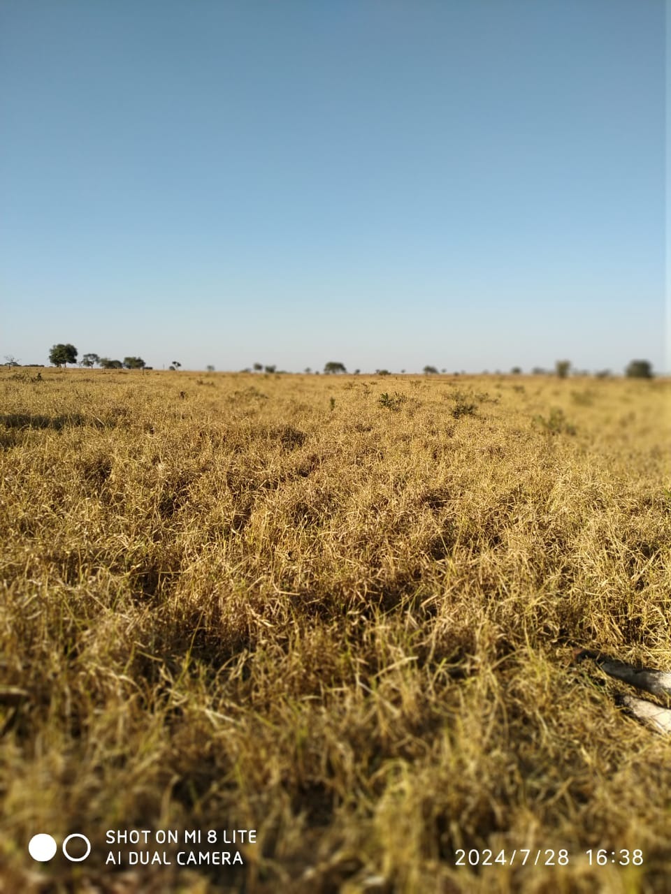 Fazenda, 535 m² - Foto 1