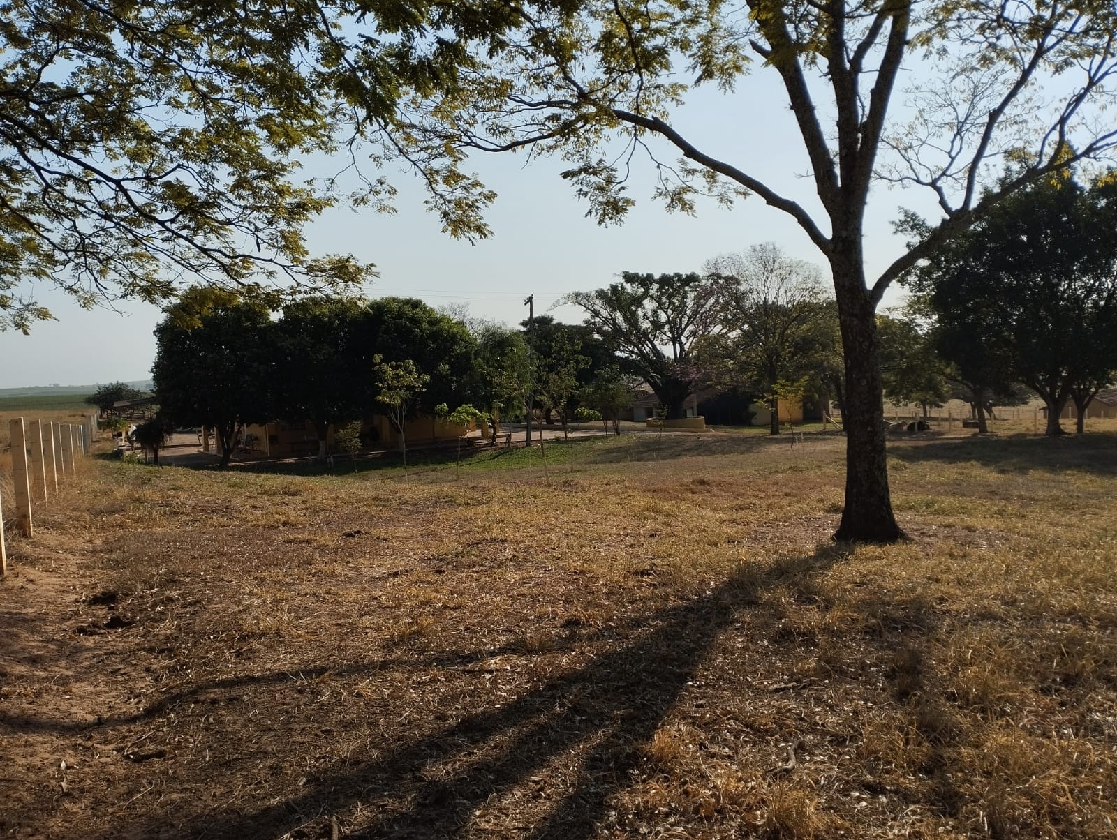 Fazenda, 115 m² - Foto 5