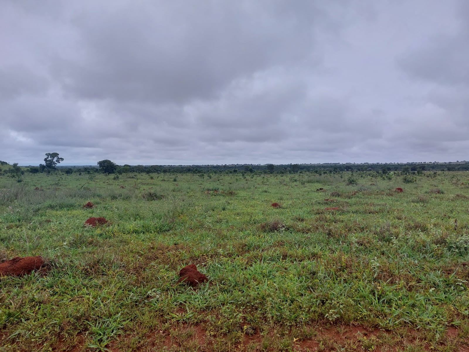 Fazenda, 1 hectares - Foto 1